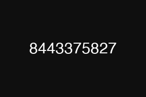 8443375827