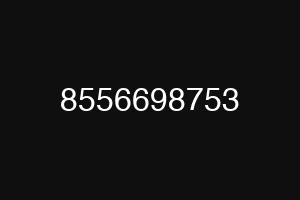 8556698753