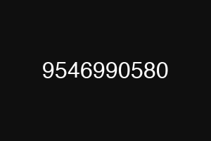 9546990580