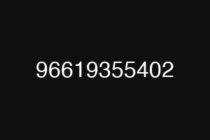 96619355402