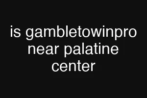 is gambletowinpro near palatine center