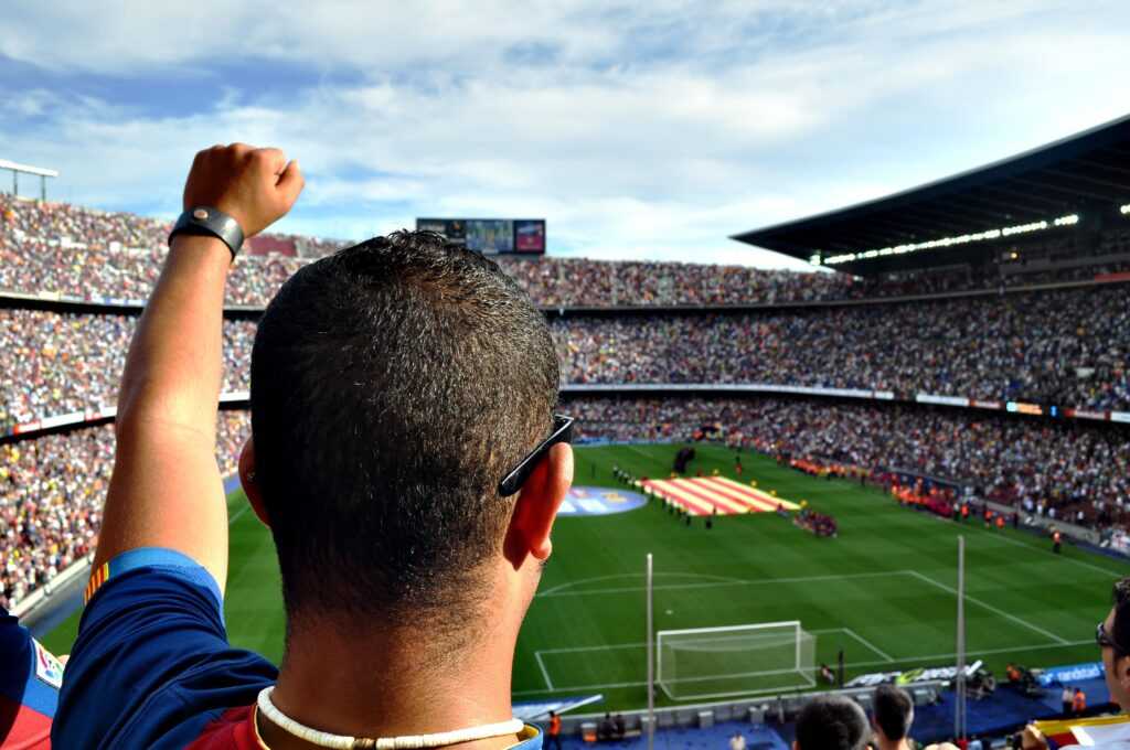 pexels pixabay 54308 1